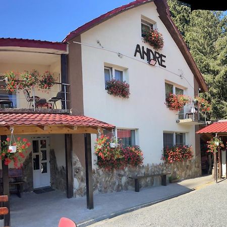 Cabana Andre Vartop Exteriér fotografie